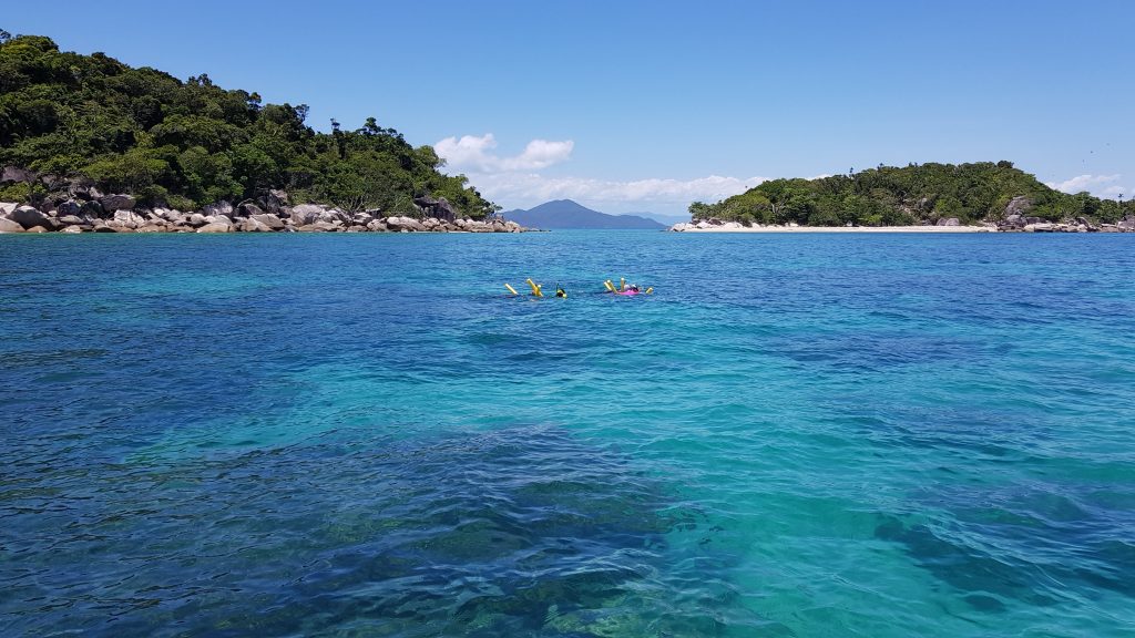Mission Beach Charters- Snorkelling tour