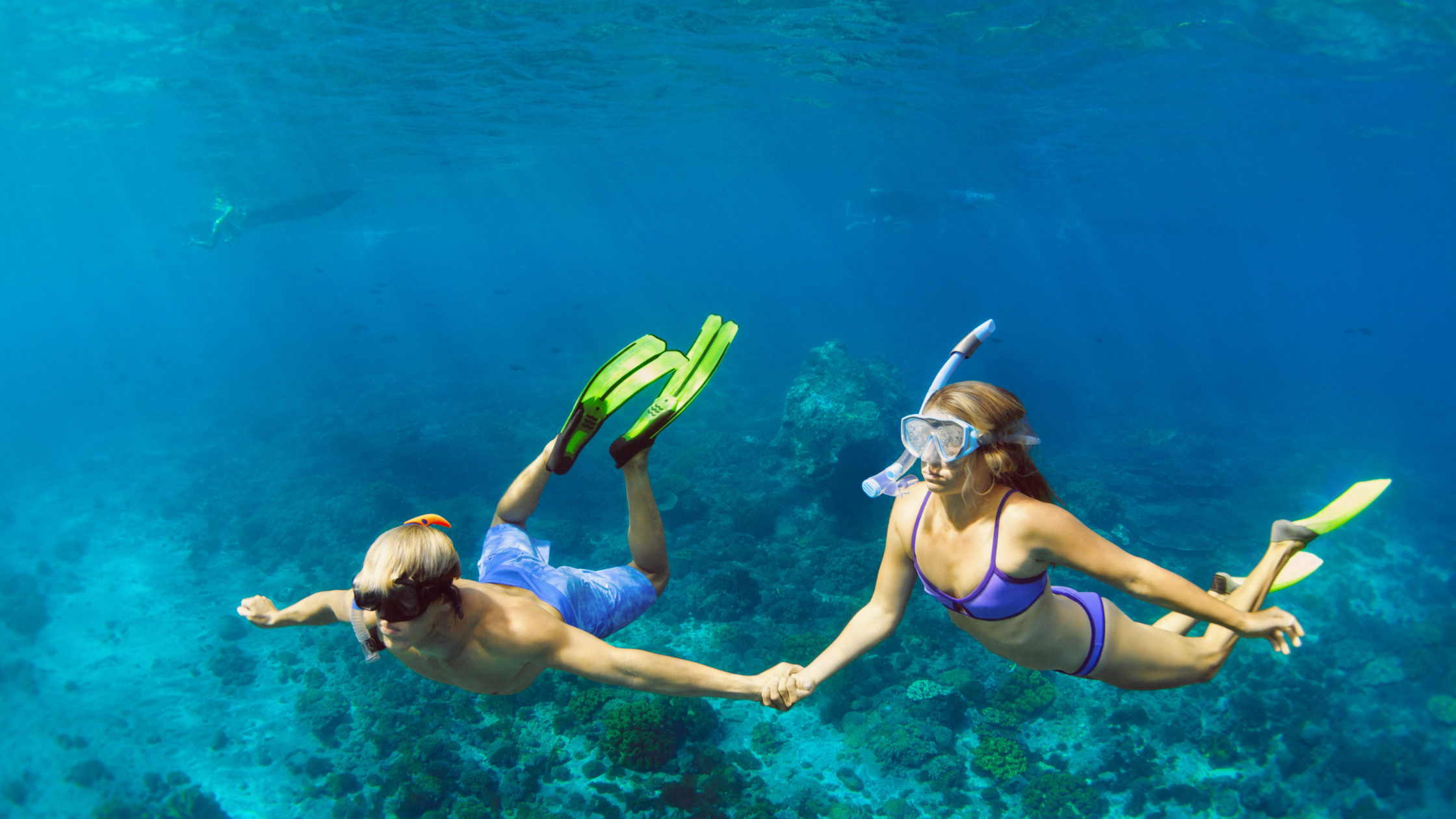 Great Barrier Reef tours