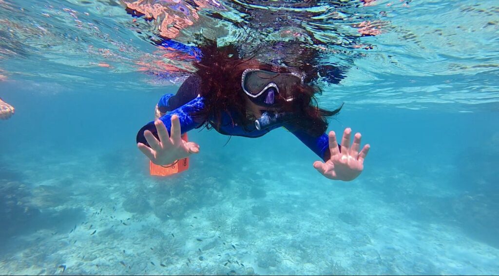 mission beach dive dunk island