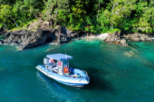 Wildside Adventures — The Get Dunked Half-Day Tour